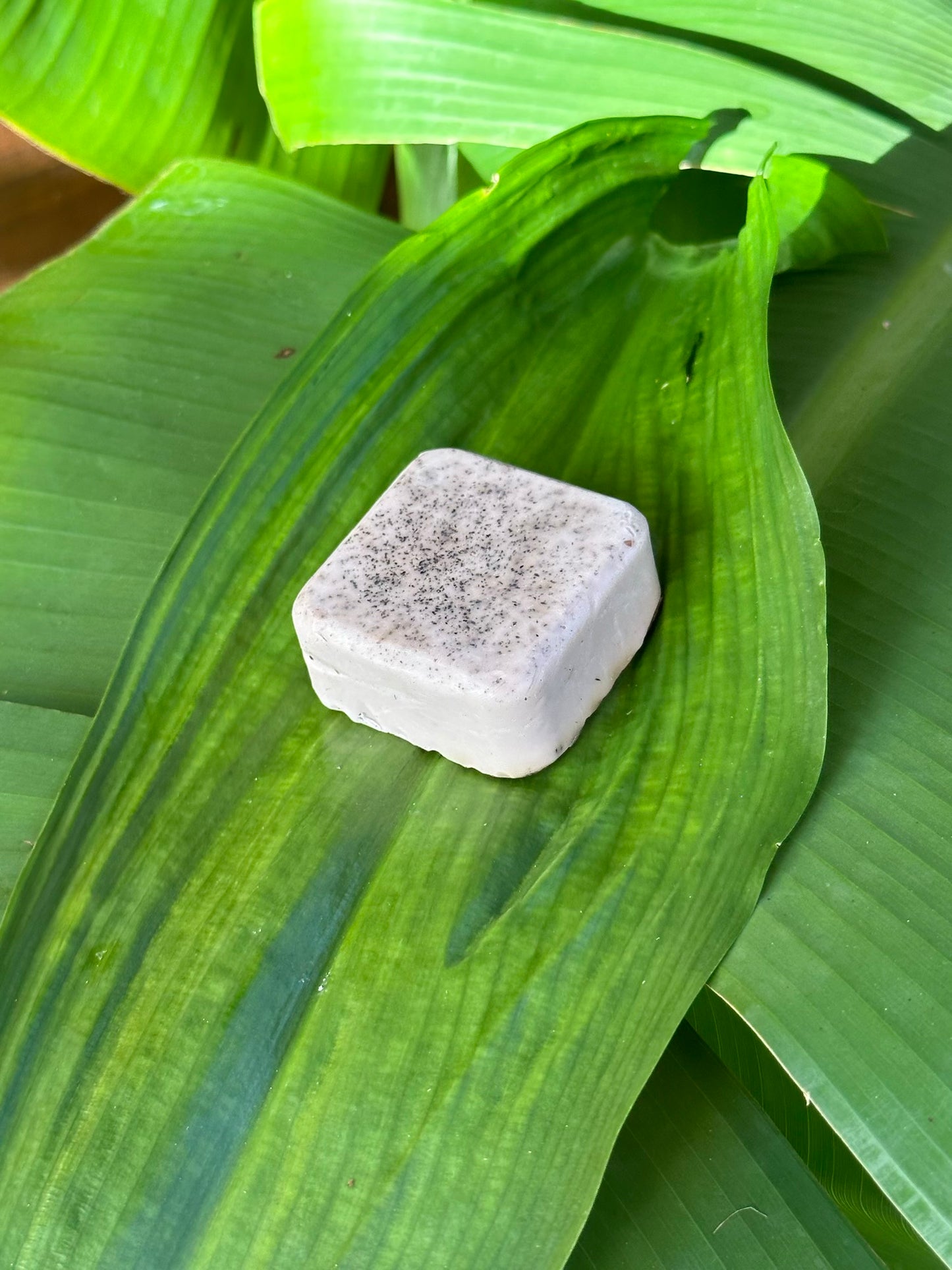 Lavendar & Coconut Soap