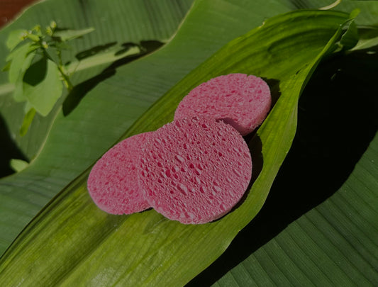 Exfoliating Soap Sponge